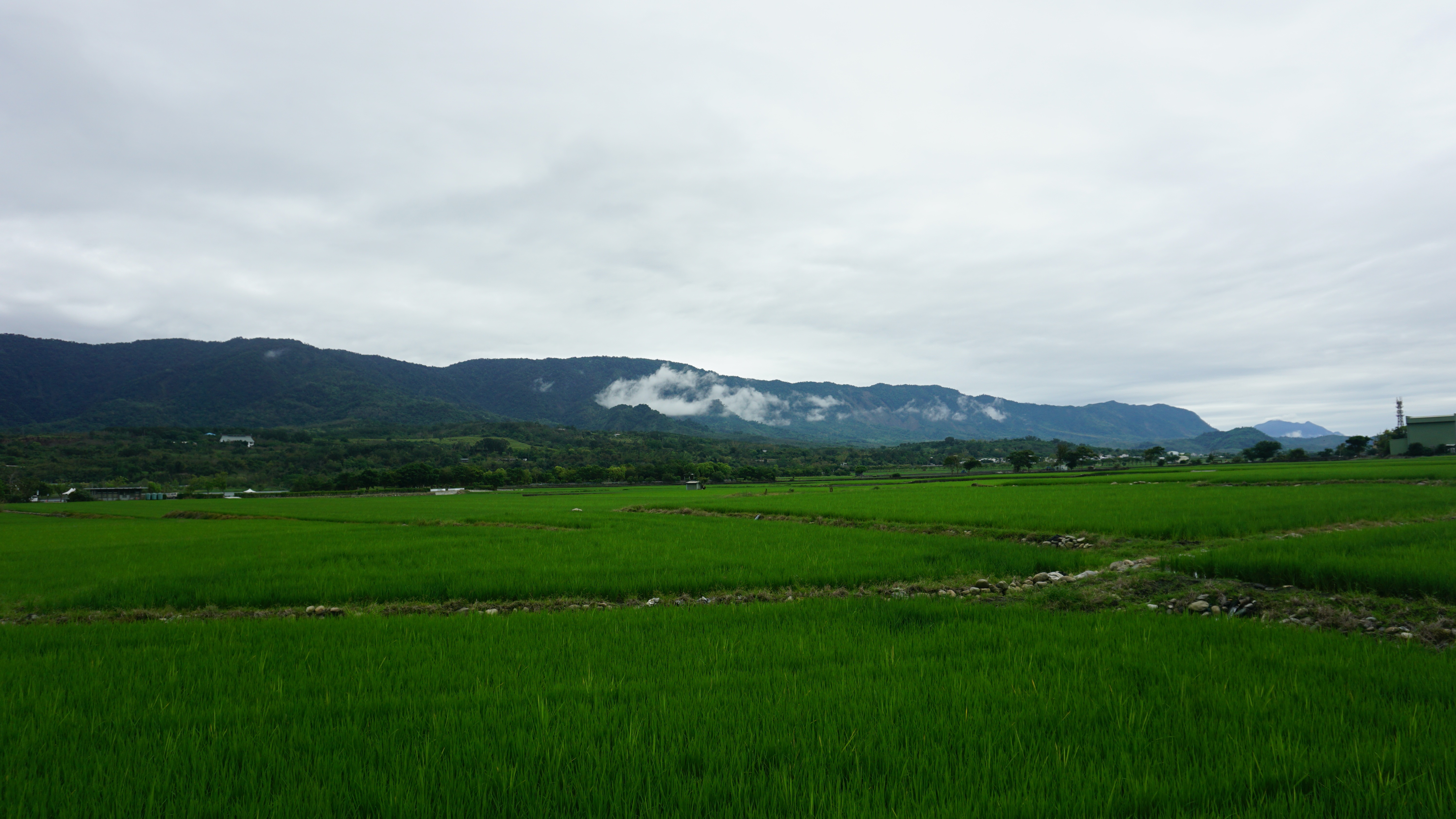 DSC01196