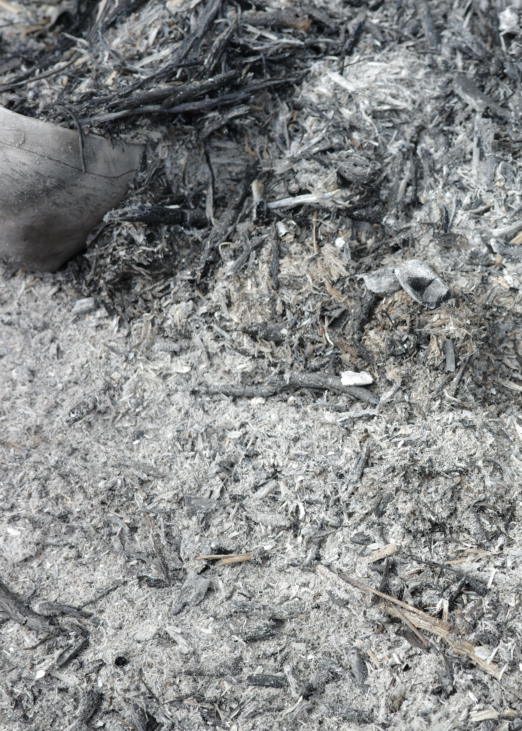 BE0D3EFC-507D-455E-BA00-43E5A68B848A_1_201_a