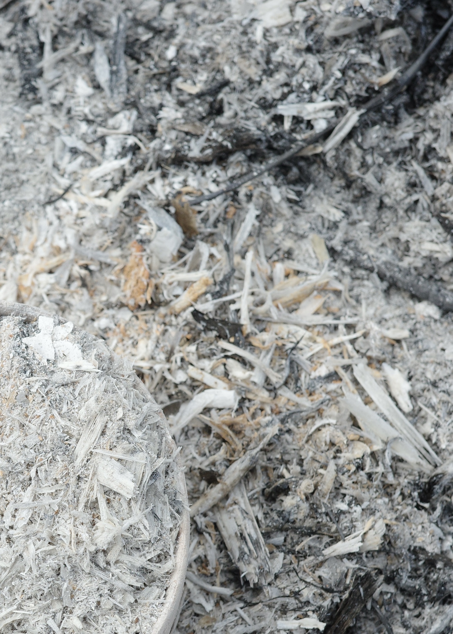 DCD64924-315C-432E-BE2F-054500D2412B_1_201_a