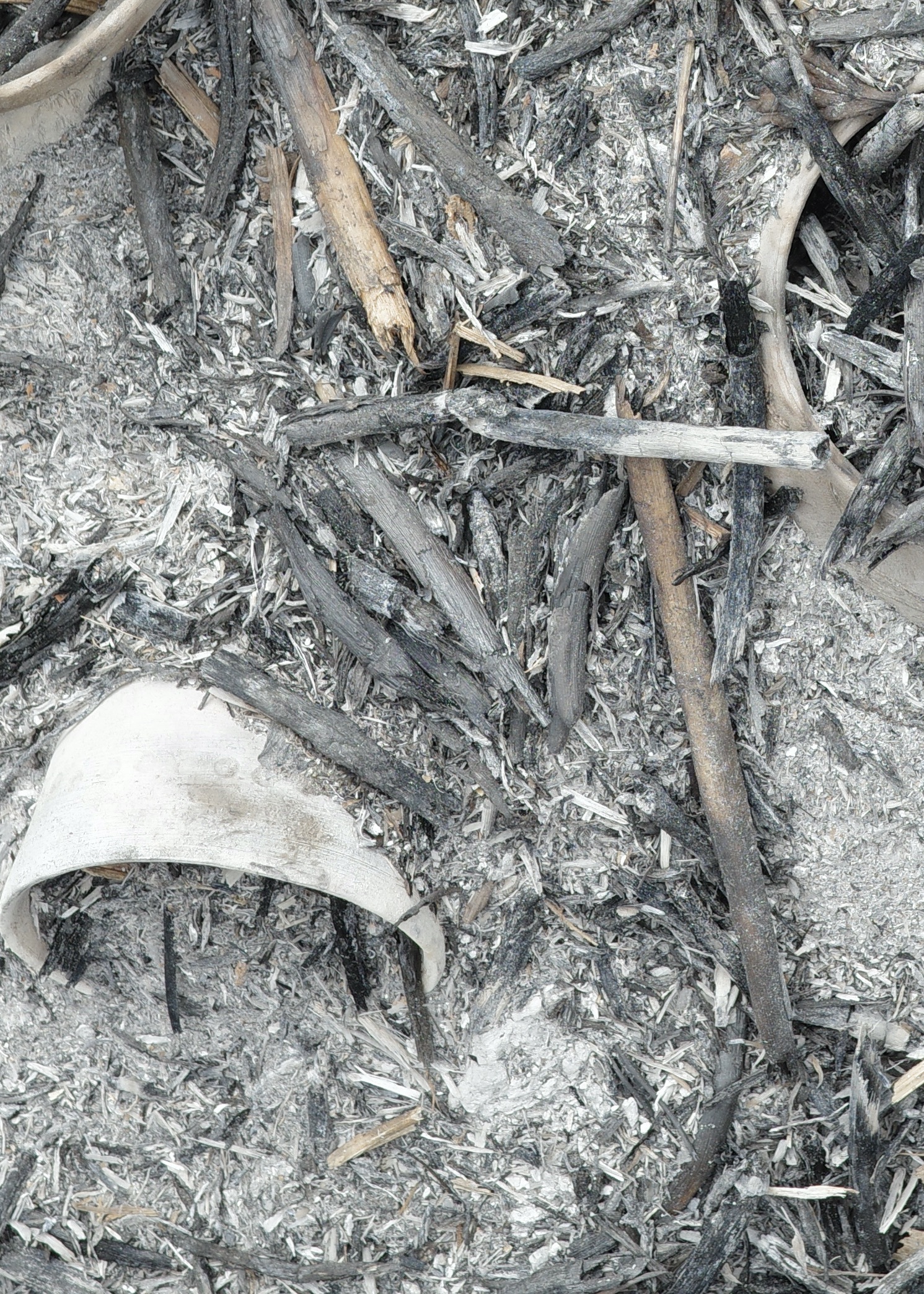 14FE0839-DC7F-4A41-920F-7DB986A2F372_1_201_a