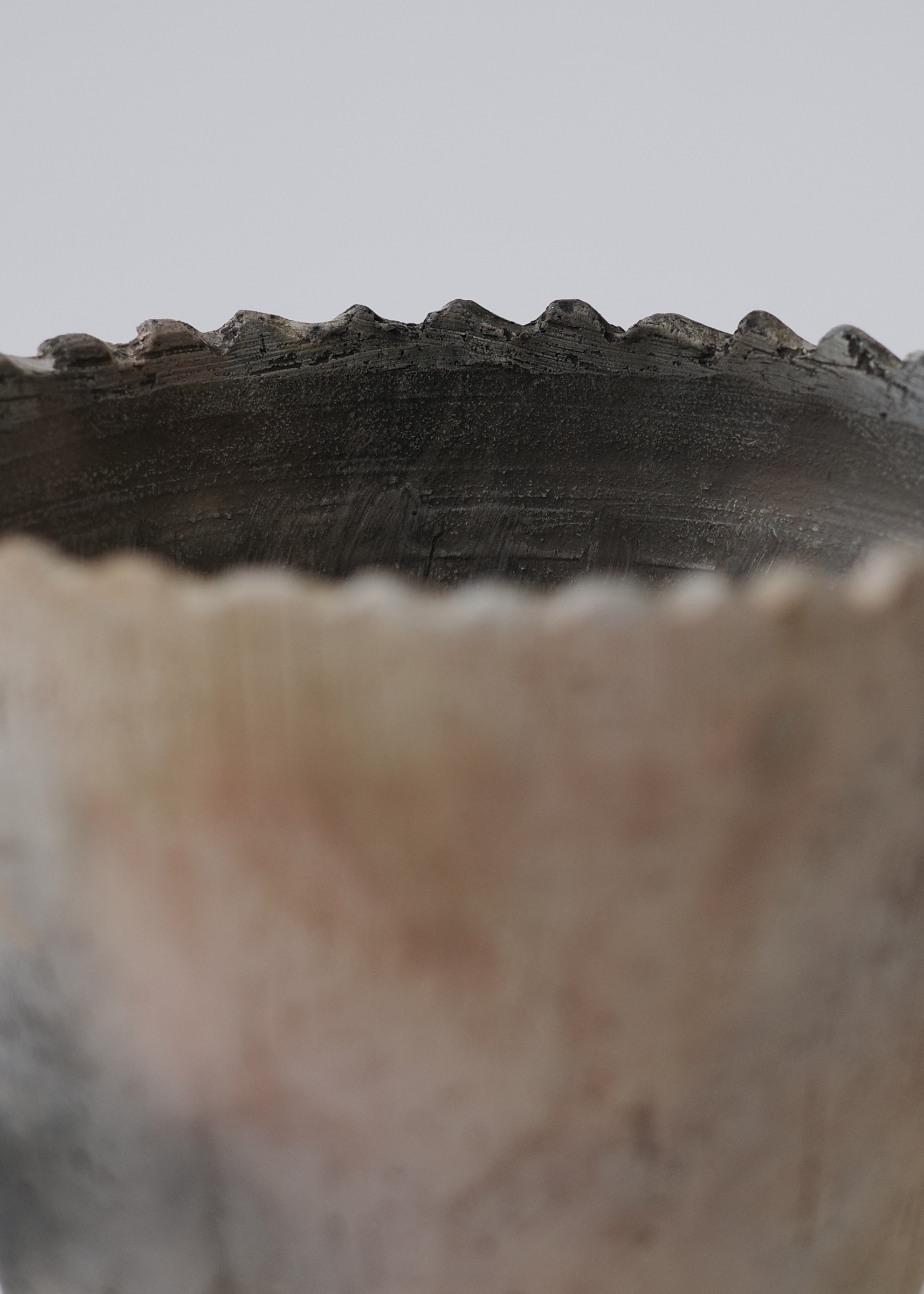 D5B77B80-75C7-4DFE-9074-F397F5EC8376_1_201_a