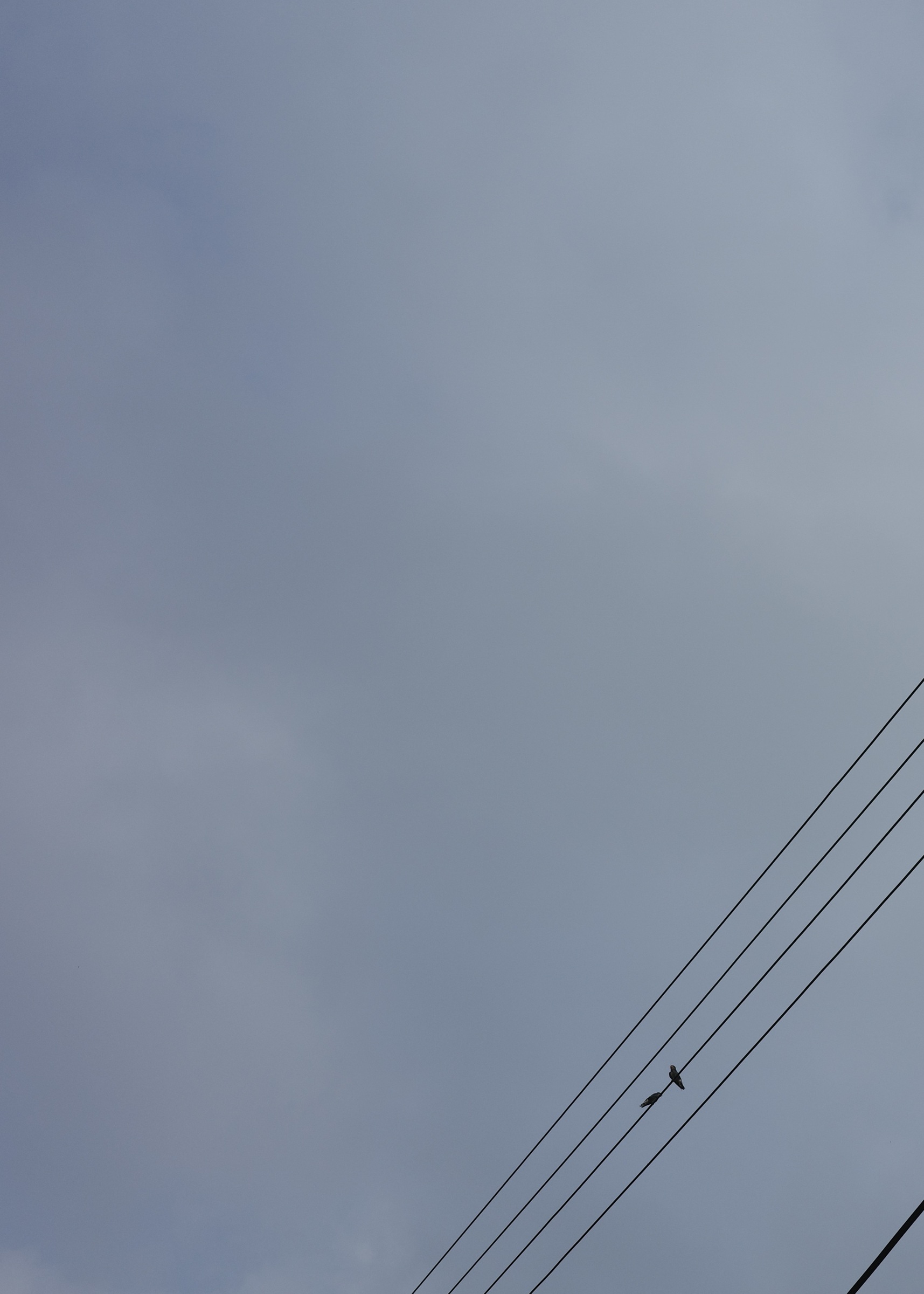 0503DB62-932C-4129-9E6D-E23BA8A11584_1_201_a