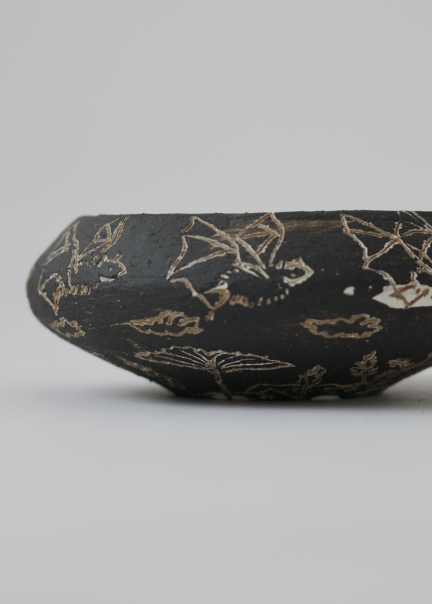 5FF92F66-BCB5-4455-A9EA-60C2FE44DD34_1_201_a