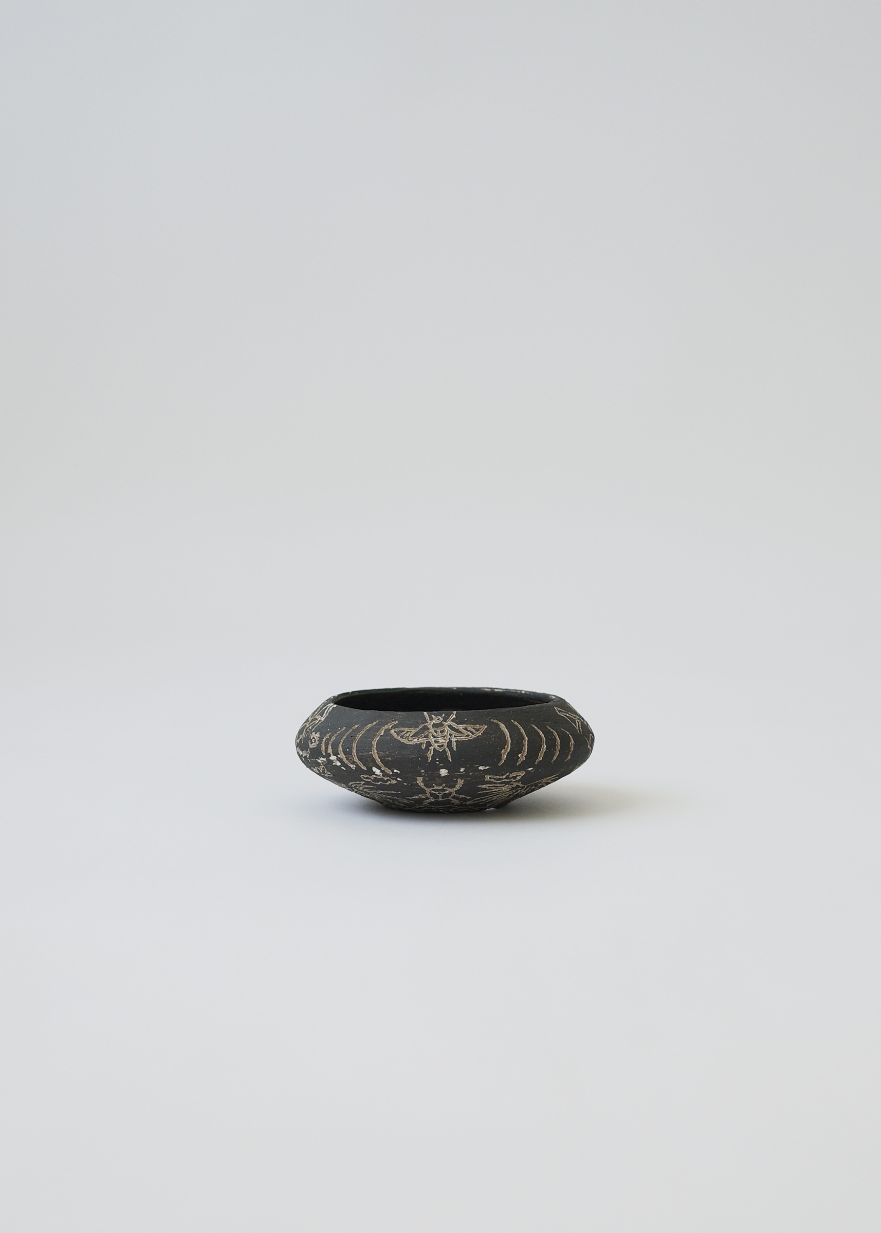 3BED8C09-BE5F-4929-B231-ADE0F1F78CDB_1_201_a