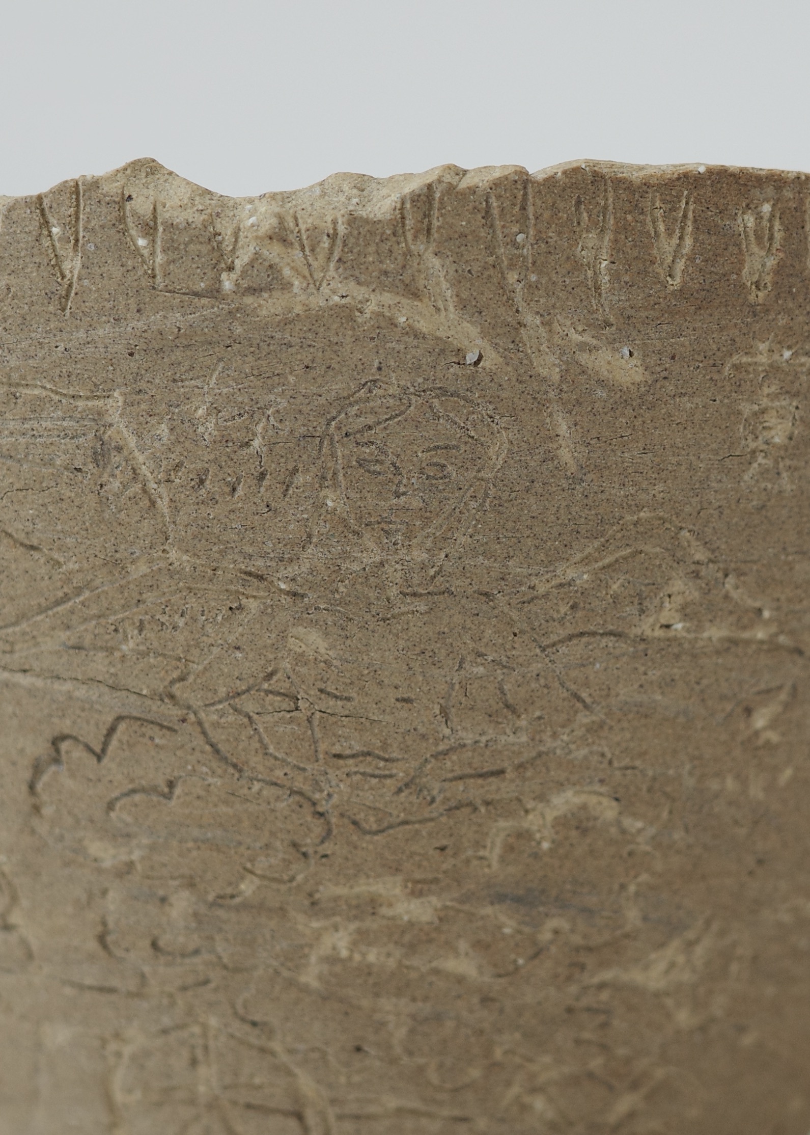 186CCD0D-1128-4B81-905B-7DBE8C76DE65_1_201_a