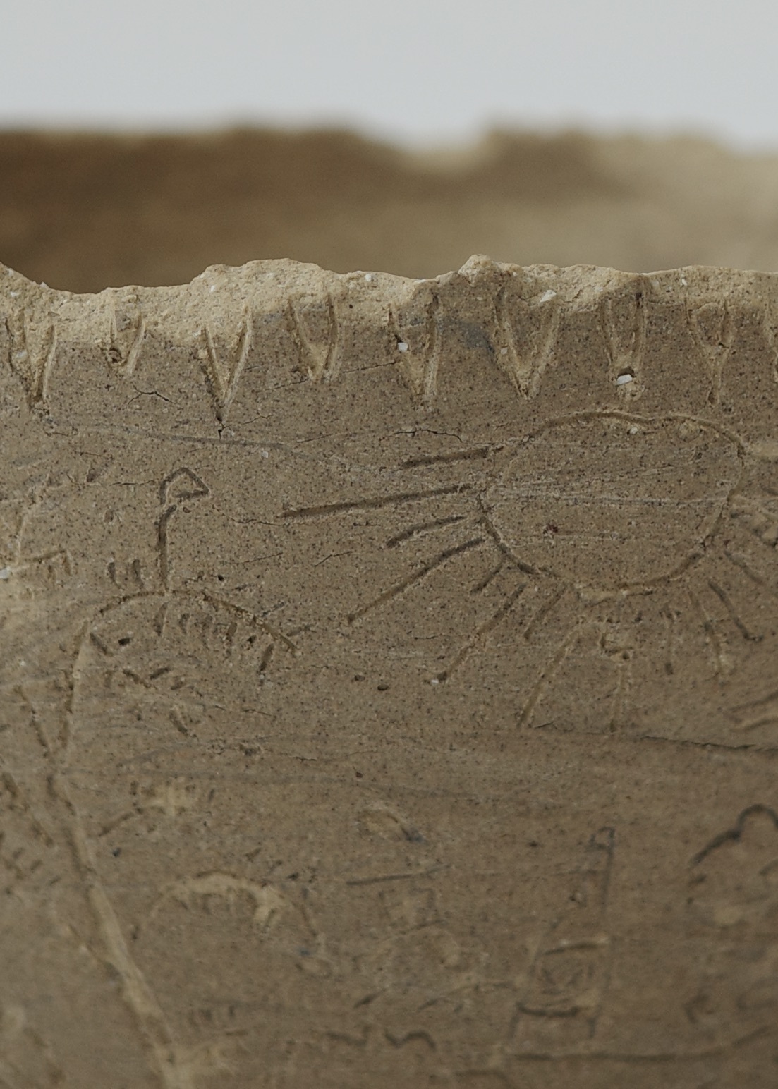 7E2F944C-1B32-4BF7-AE3F-2359A4DE3ECC_1_201_a