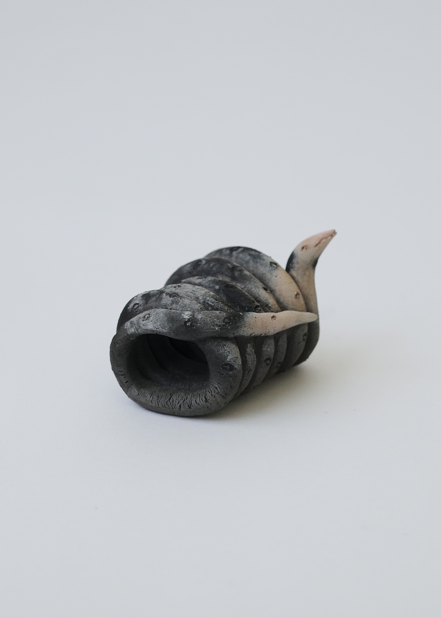 196A98B5-C431-4684-94D2-7EC6DFDD02C7_1_201_a