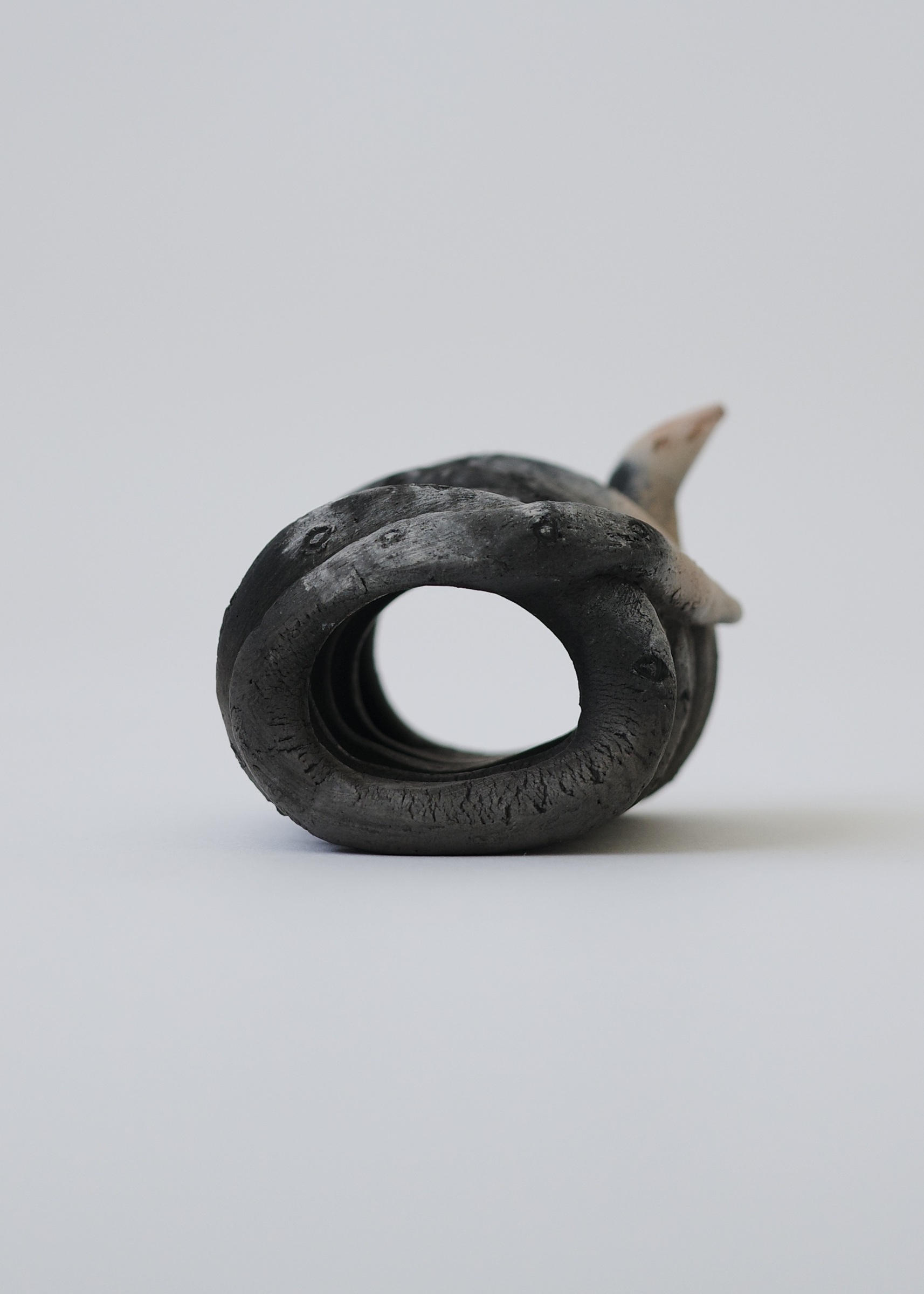 0DBF56A2-BFD1-4295-B372-A4B54043BCAF_1_201_a