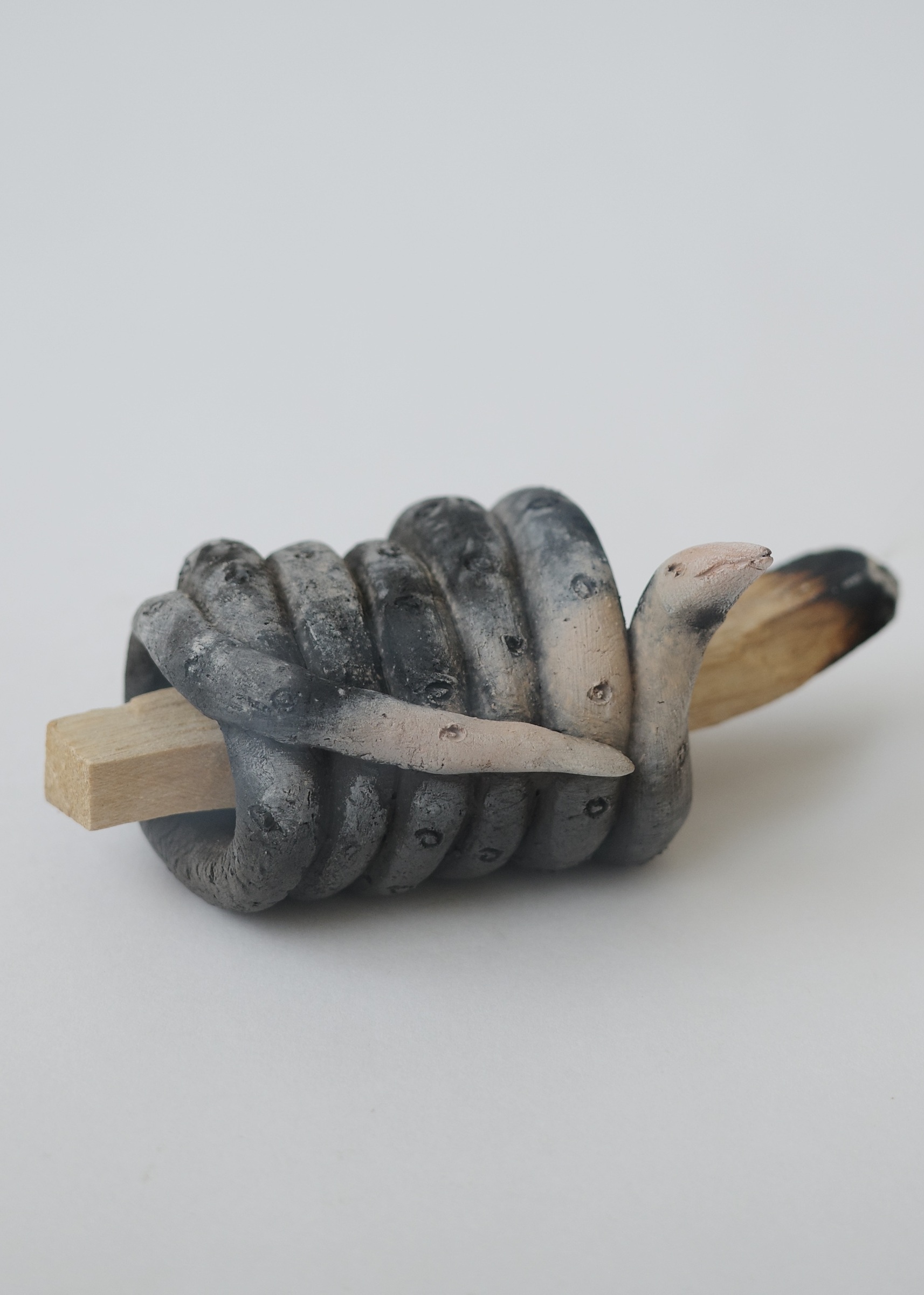 C3EE90B0-A179-47CC-9A20-435F1579072F_1_201_a