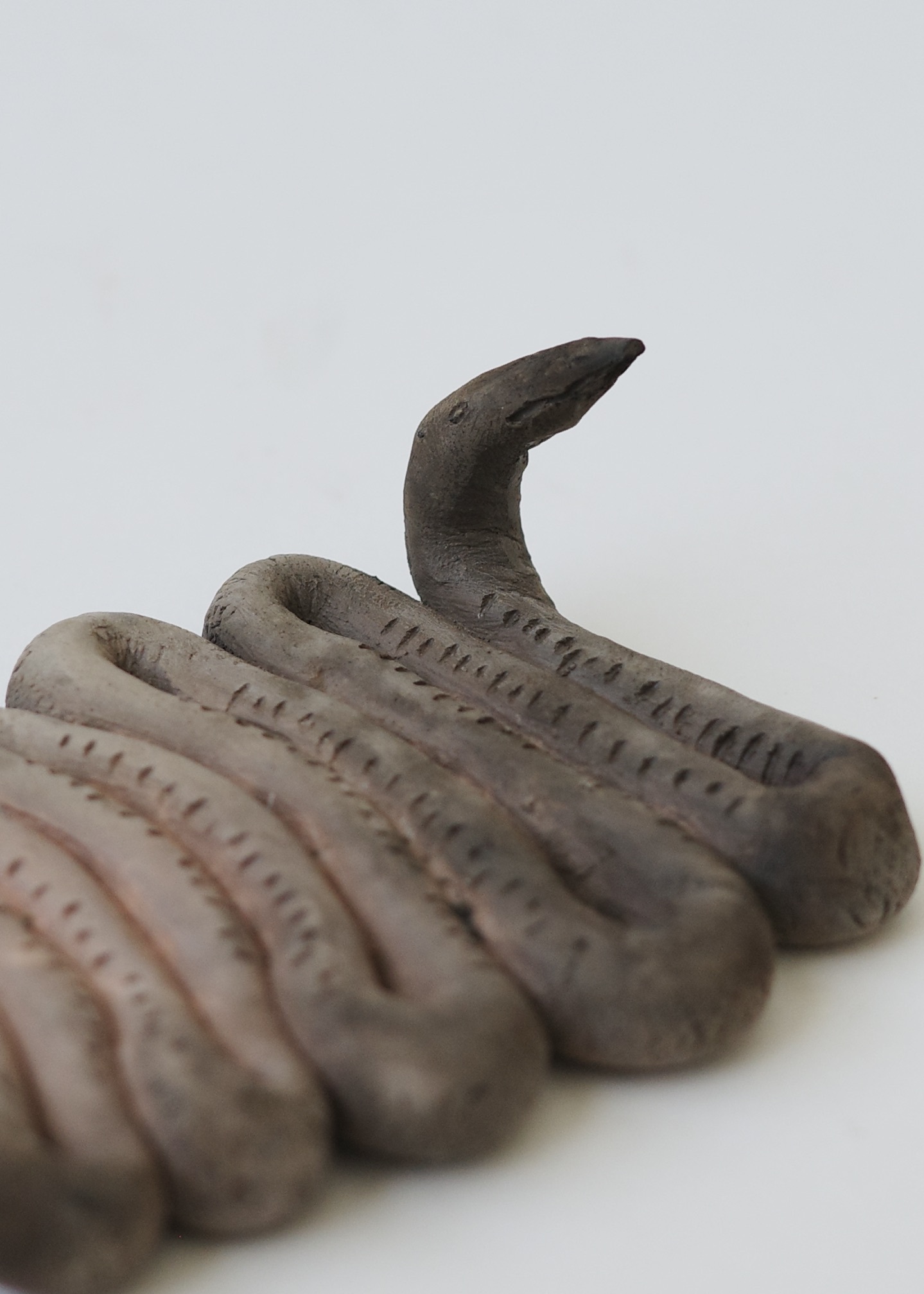 CF2D4DD2-F4C6-4964-830F-C6940F32C2A0_1_201_a