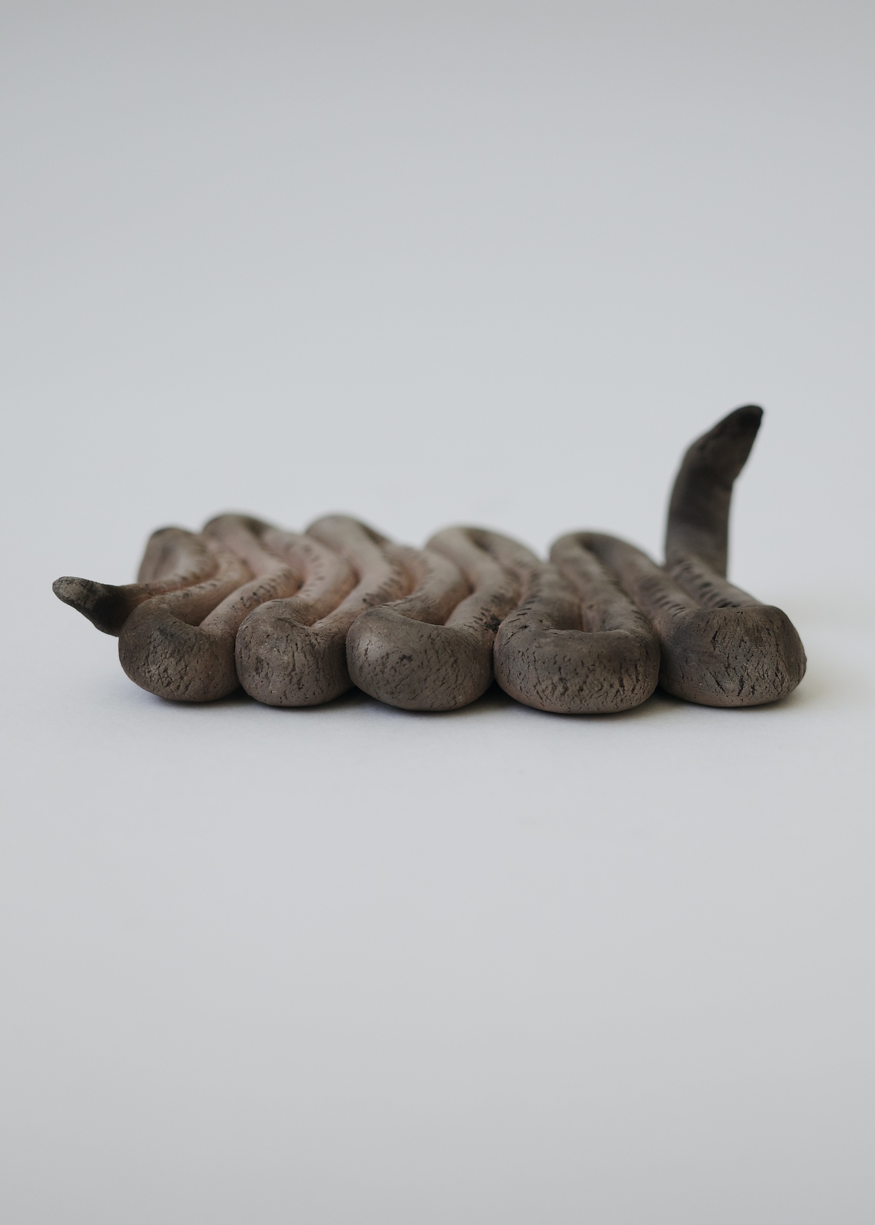 0B6E2C9C-2AC3-453B-A9B5-F432A507D5C2_1_201_a