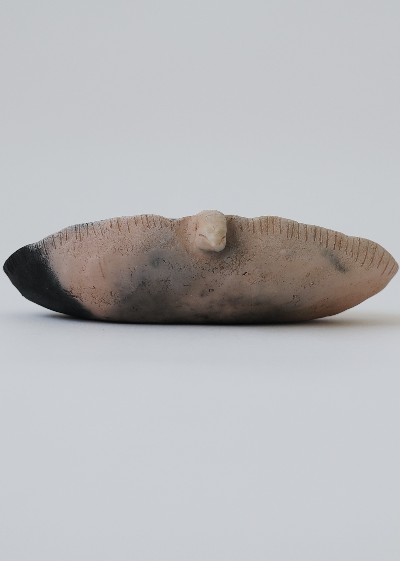 E72248AA-7497-417E-9A85-C47FBA66BA94_1_201_a