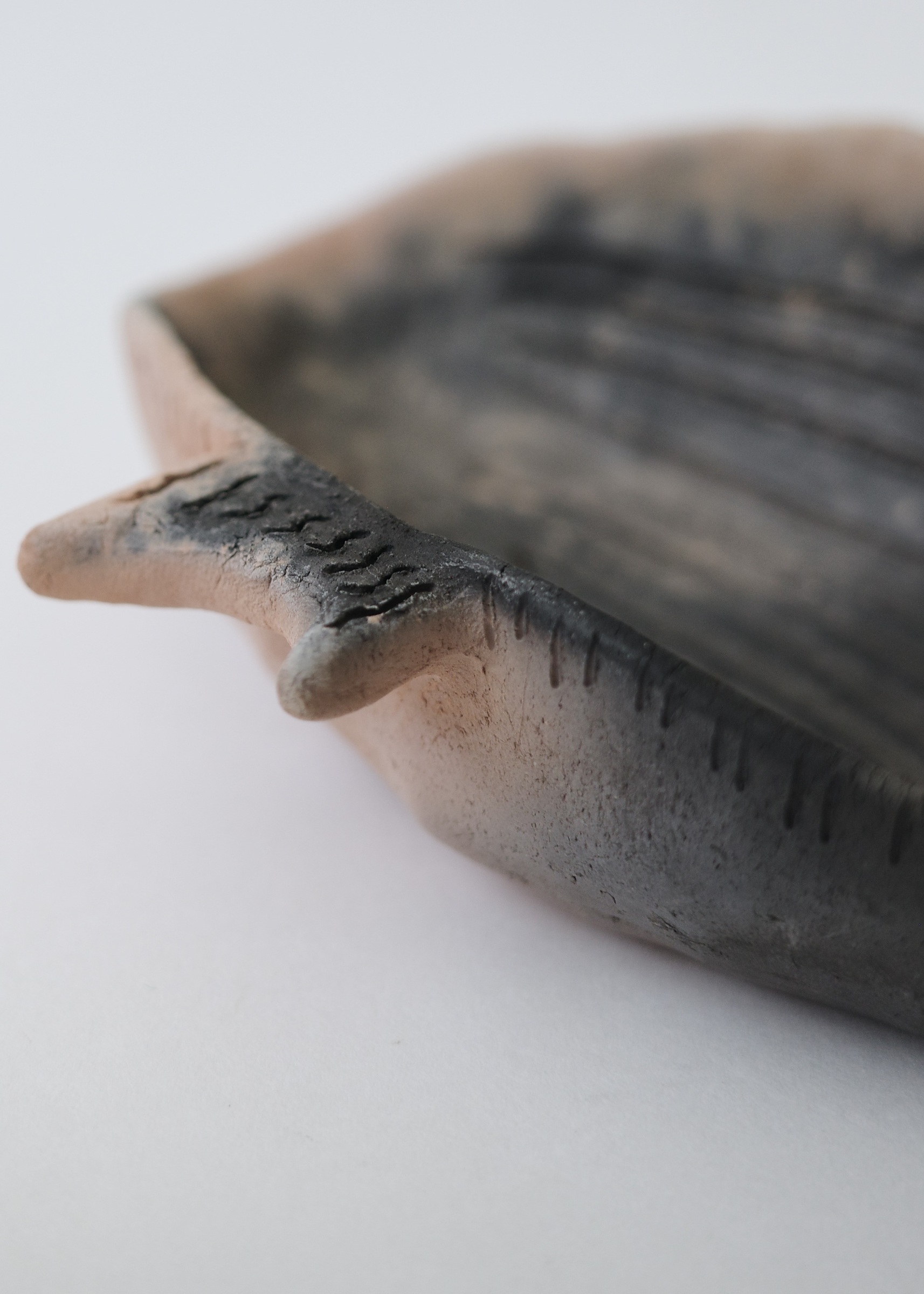 73F3099B-051F-47F9-89F6-4FB3DC72AD6E_1_201_a