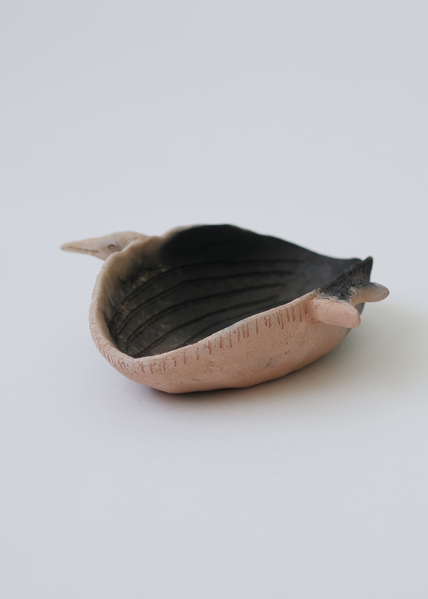 555B1237-18C7-41D8-BE64-CE5528AE4D93_1_201_a