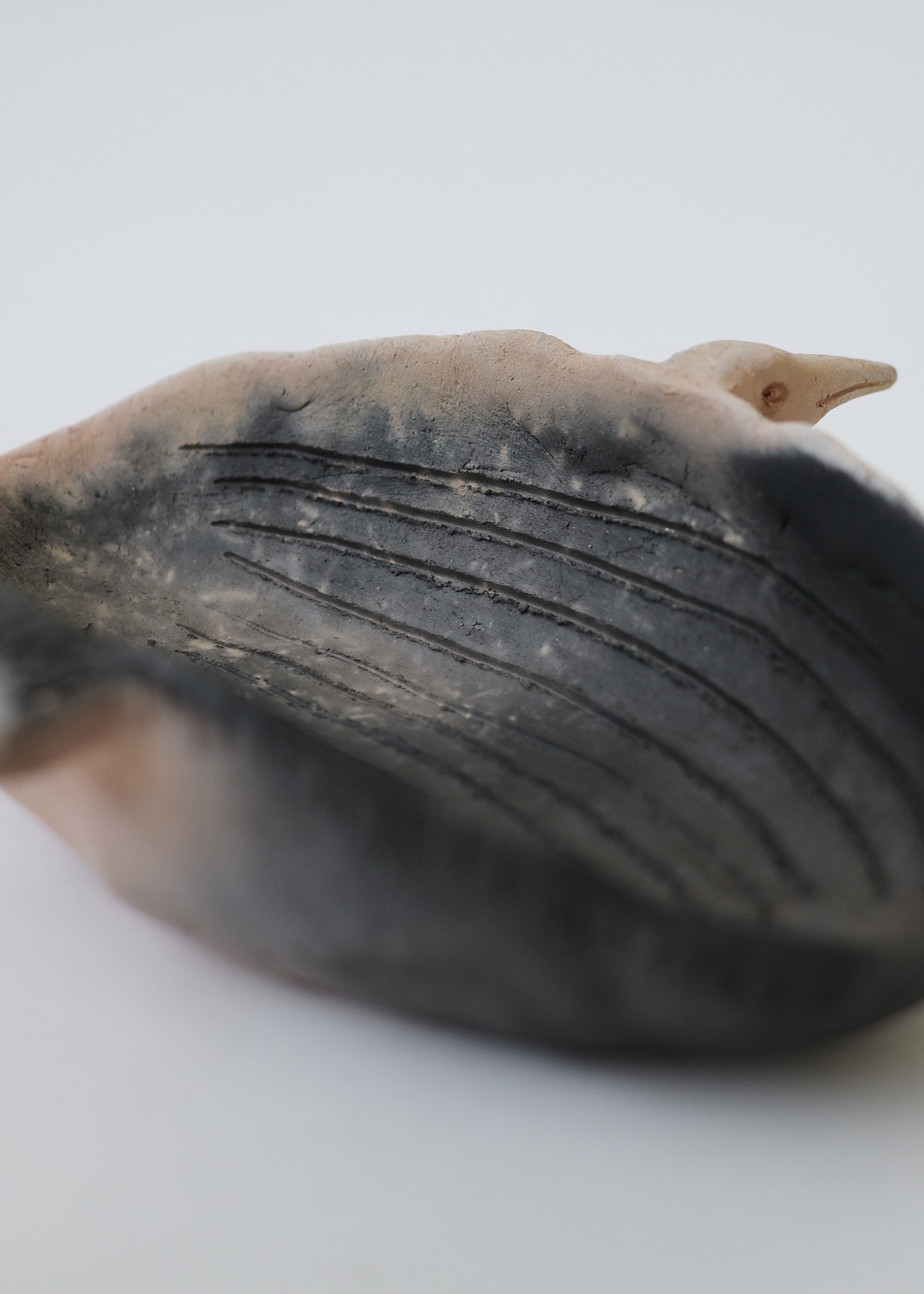 232EBF5F-8BFA-4229-A815-149C1028DCAF_1_201_a