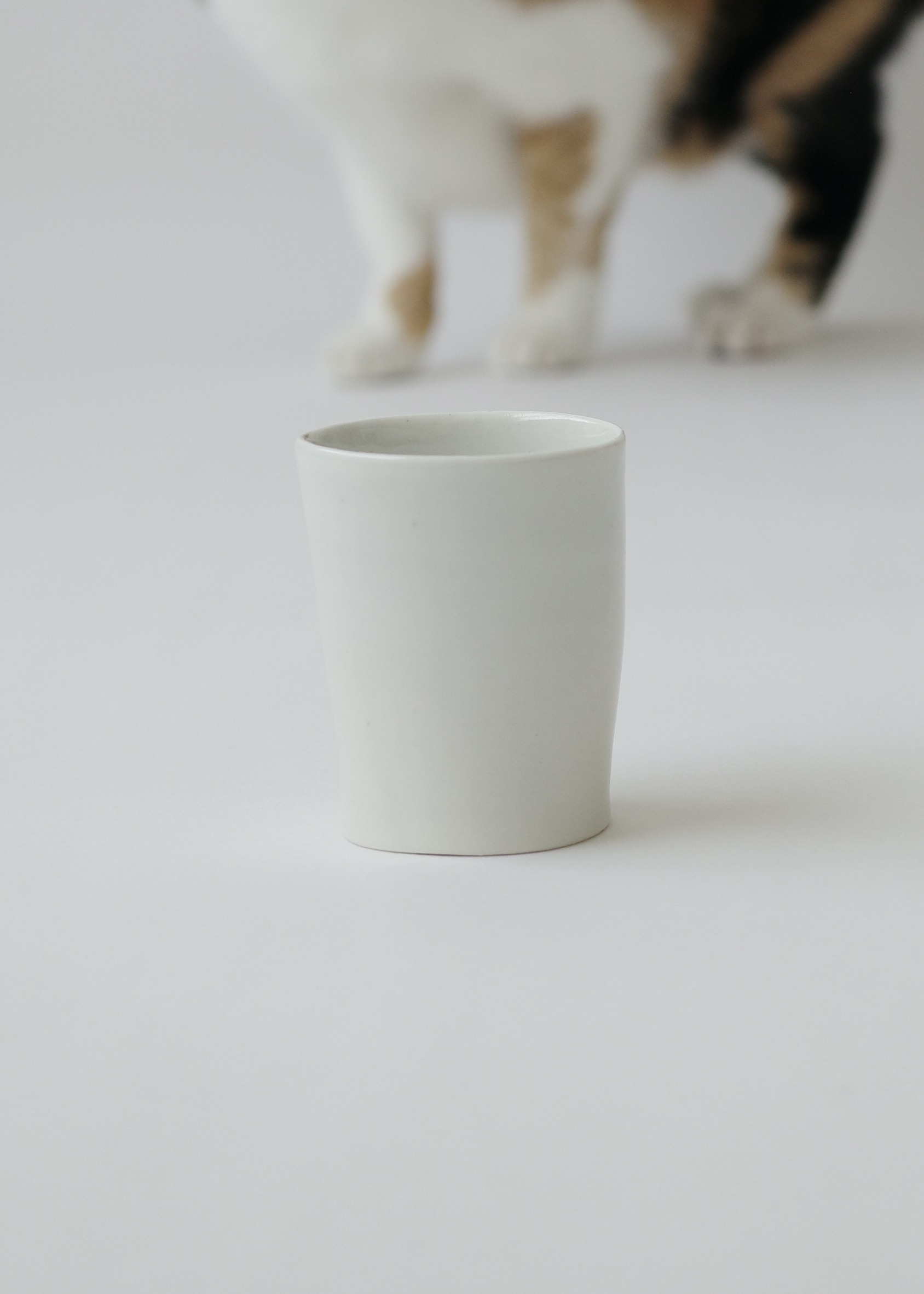 5C2A40E7-E177-4243-9D1B-410DBB8ACC83_1_201_a