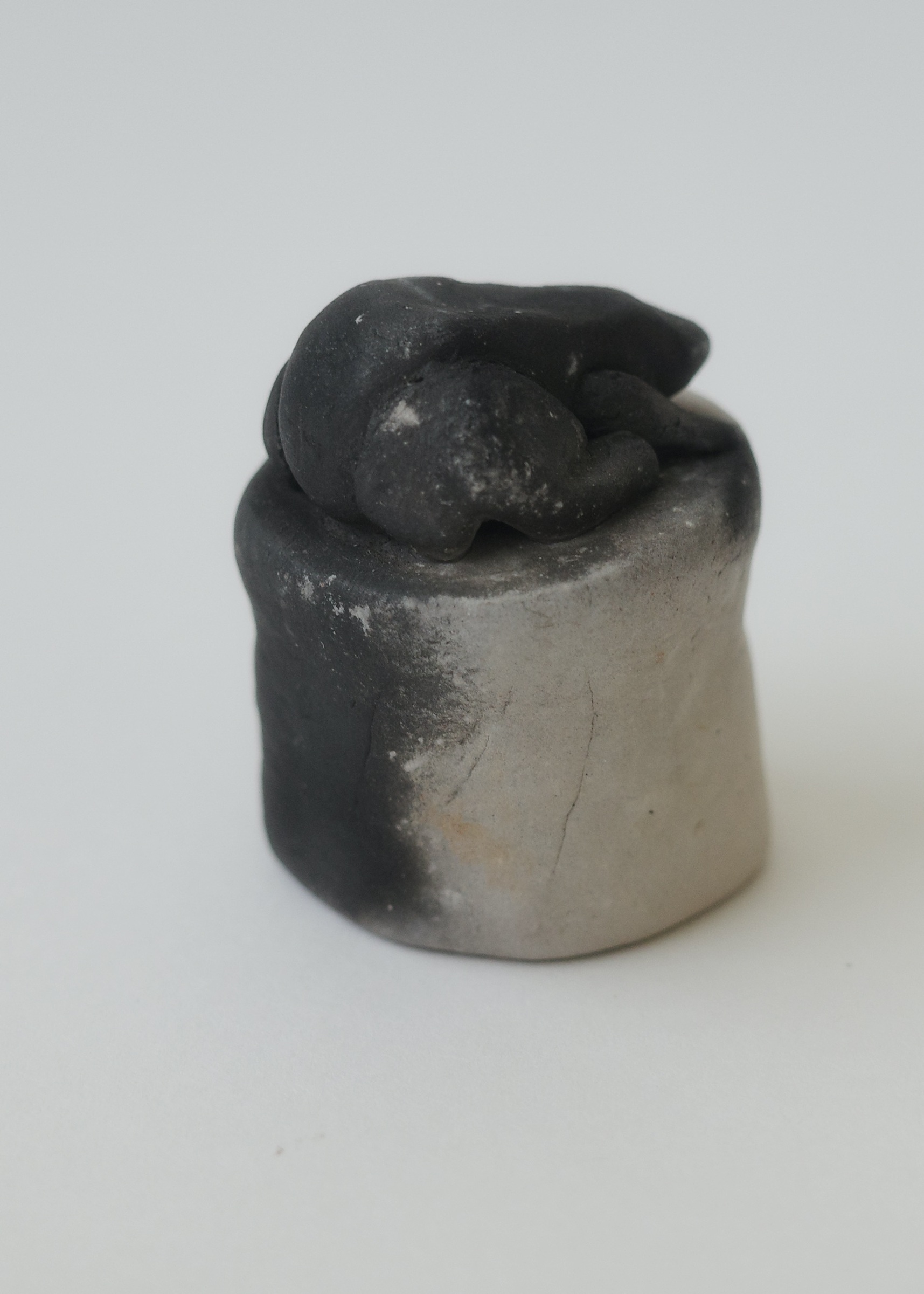 03D5CBC9-42BA-4429-83A4-CB801F8BF85C_1_201_a