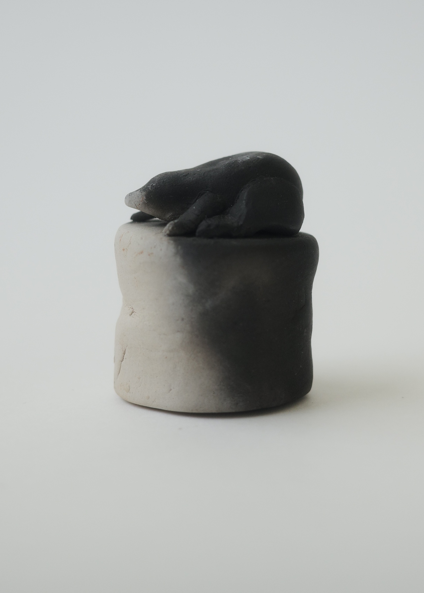 9BAC2046-2455-461E-9FA7-FE112430B490_1_201_a