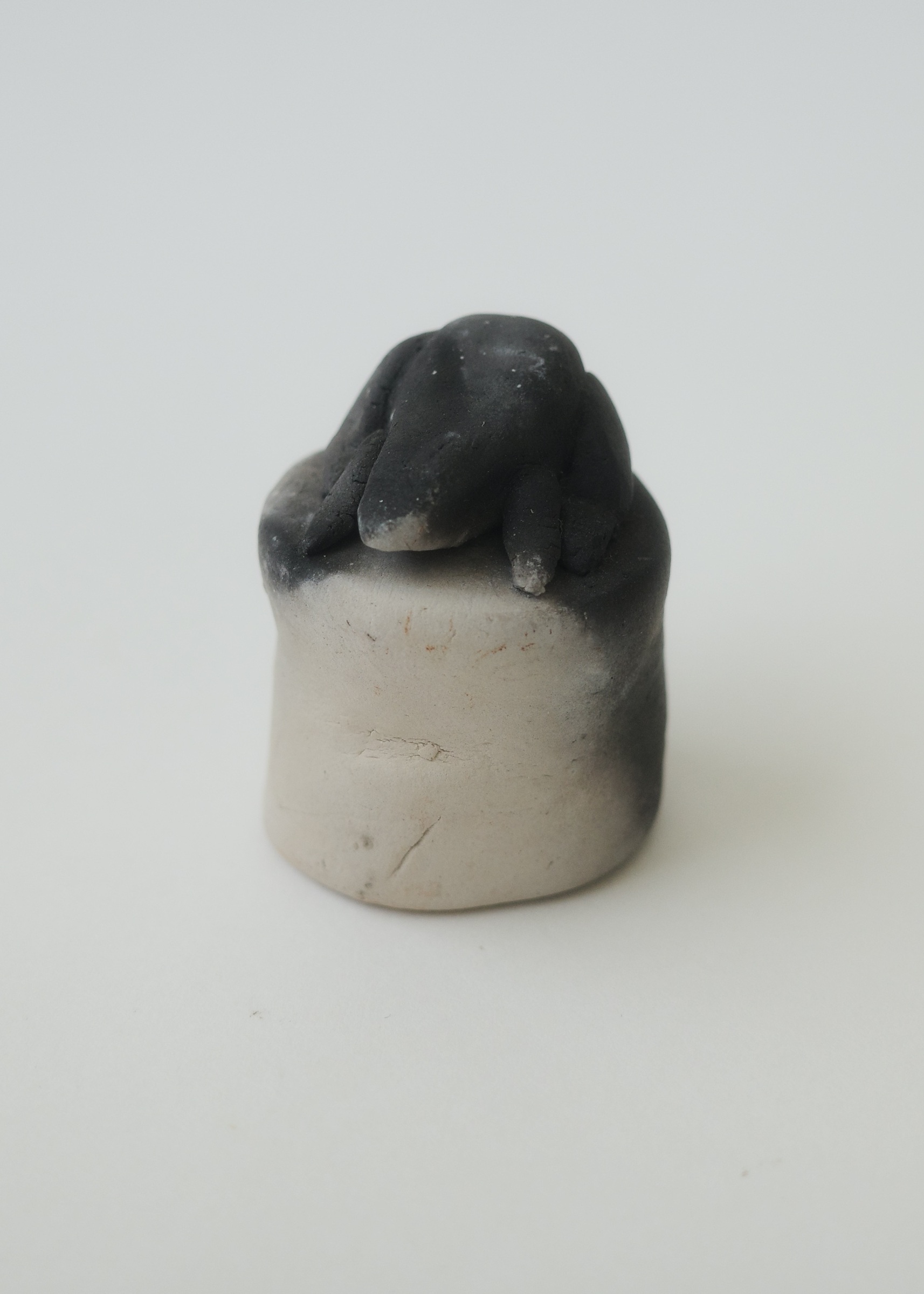 A2C71987-065F-410A-99F9-5984D9A9EEBB_1_201_a