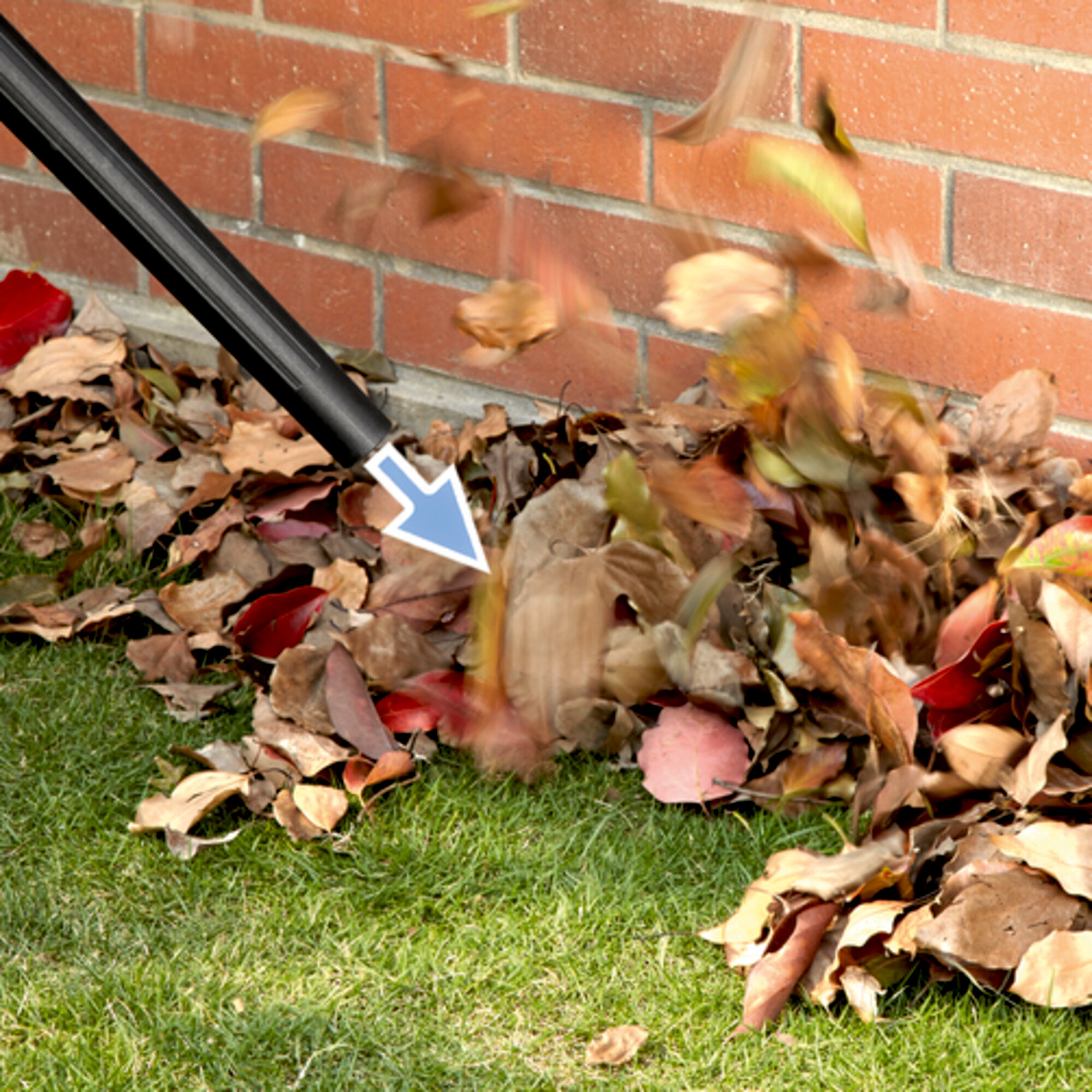 Wet and dry vacuum cleaner WD 1 Classic: Practical blower function