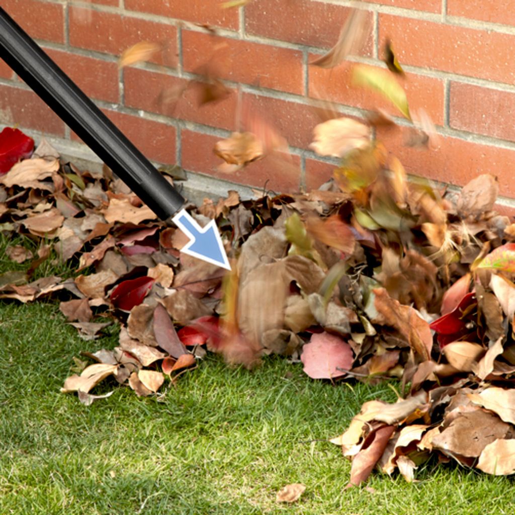 WD_1_leaves_blow_app_6502x502