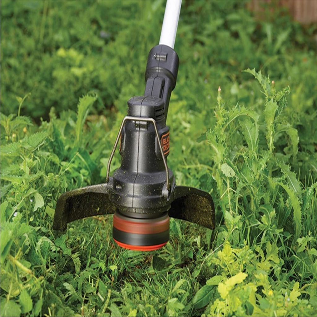 tpgTmJll64d445360ee46_1691632950