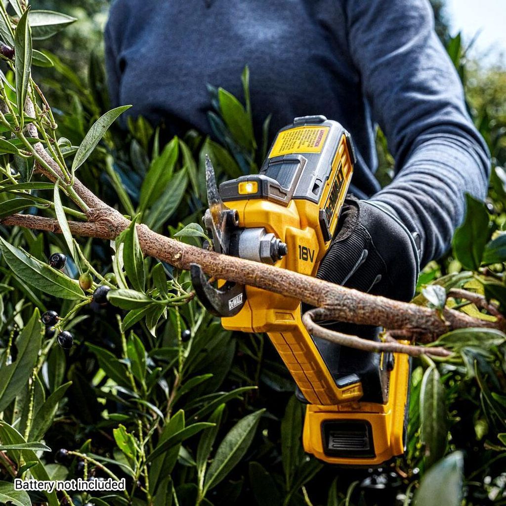 DWT-PT-09-003-B000-11-min