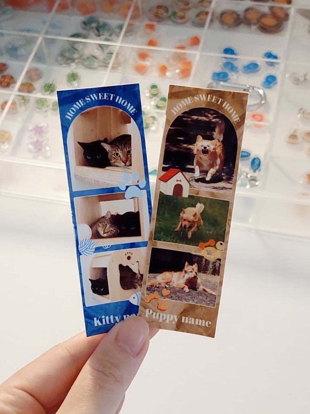 WhatsApp Image 2026-02-01 at 7.50.36 PM (1)