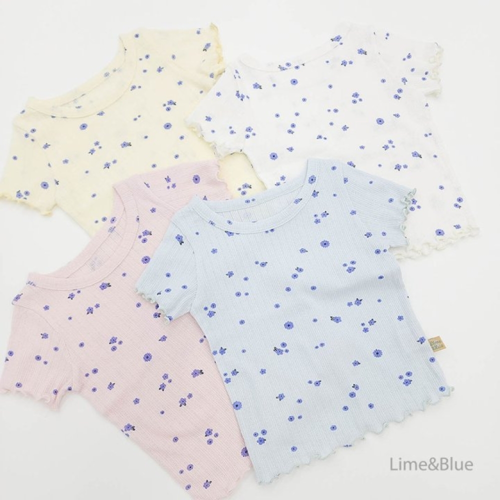 1742357048_3842540502