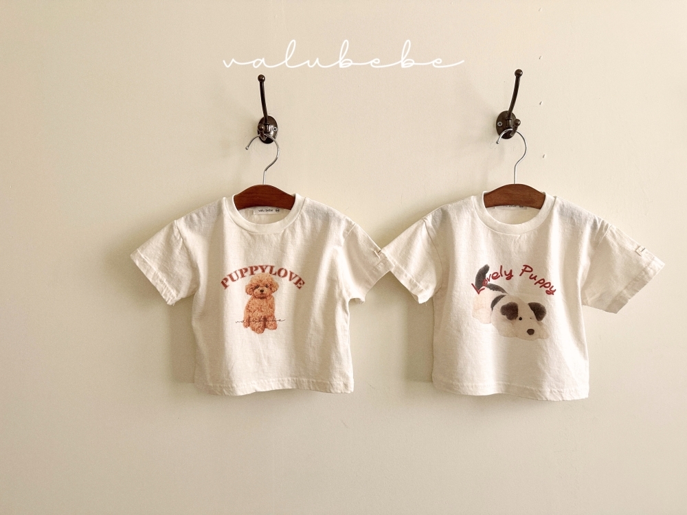 1775533119_1729101379