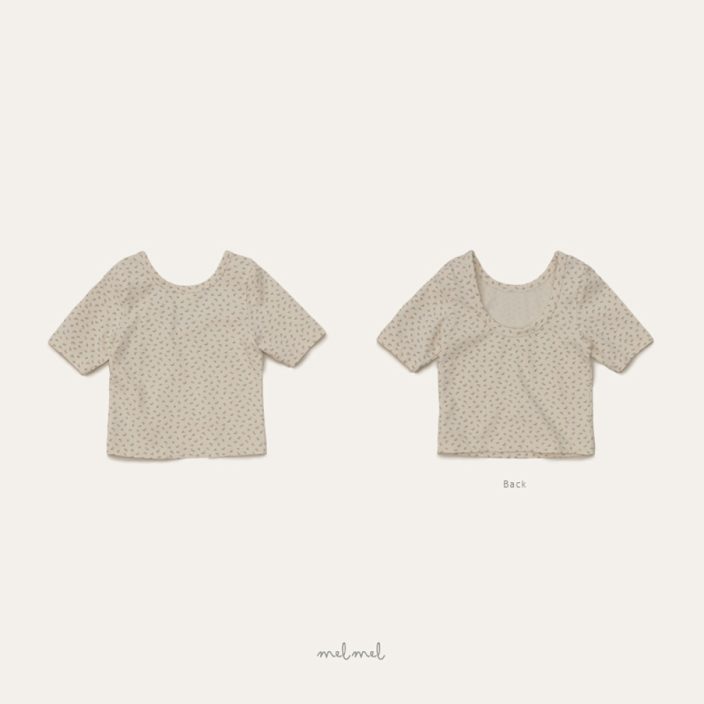 1776065219_6401826887