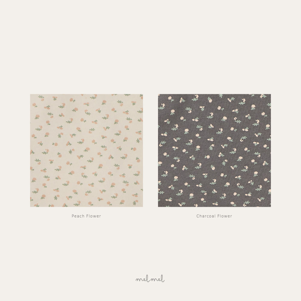 1776065258_1751583085