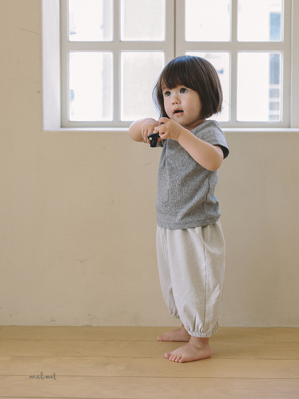 1776061246_4285092689