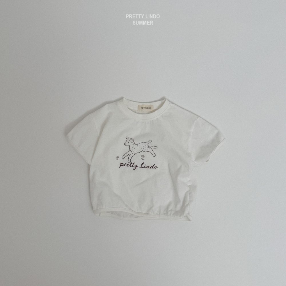 1776312317_4774186843