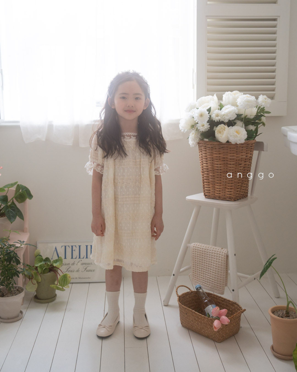 ImageDrain-20250319T061048.288Z
