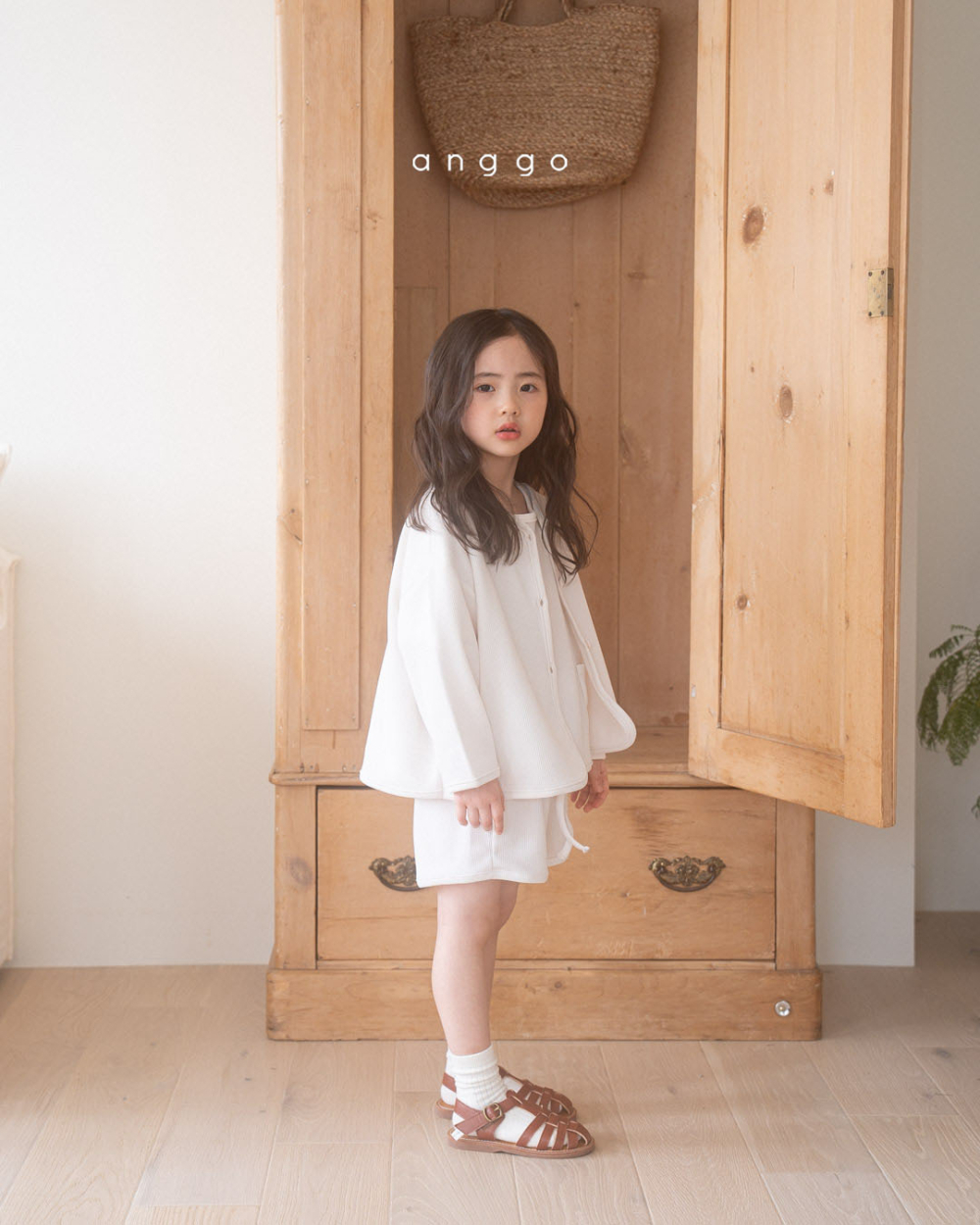 ImageDrain-20250319T063615.724Z