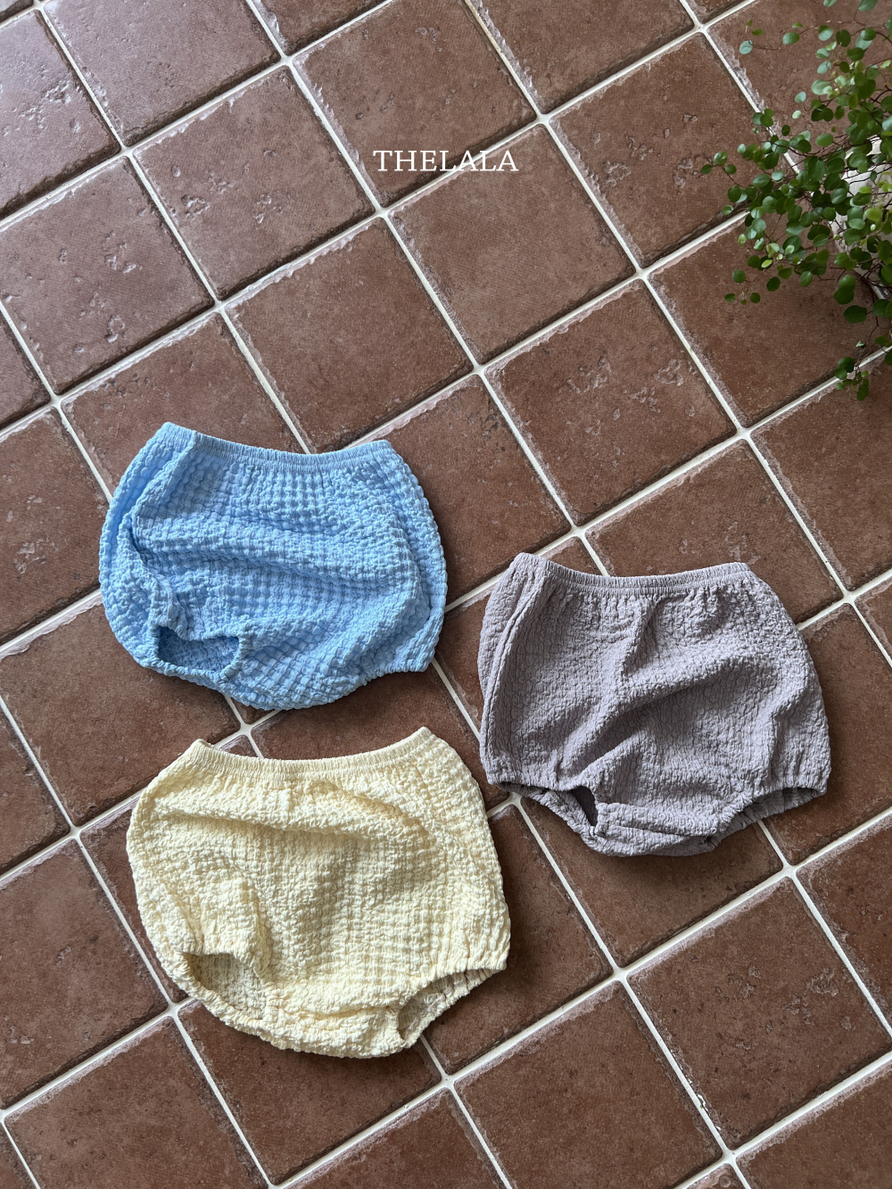 ImageDrain-20250609T023806.273Z
