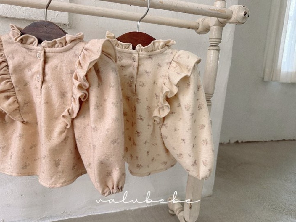 ImageDrain-20251009T033606.514Z