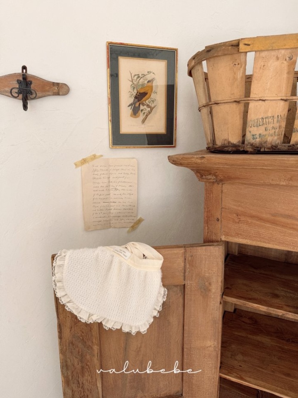 ImageDrain-20251009T040342.177Z