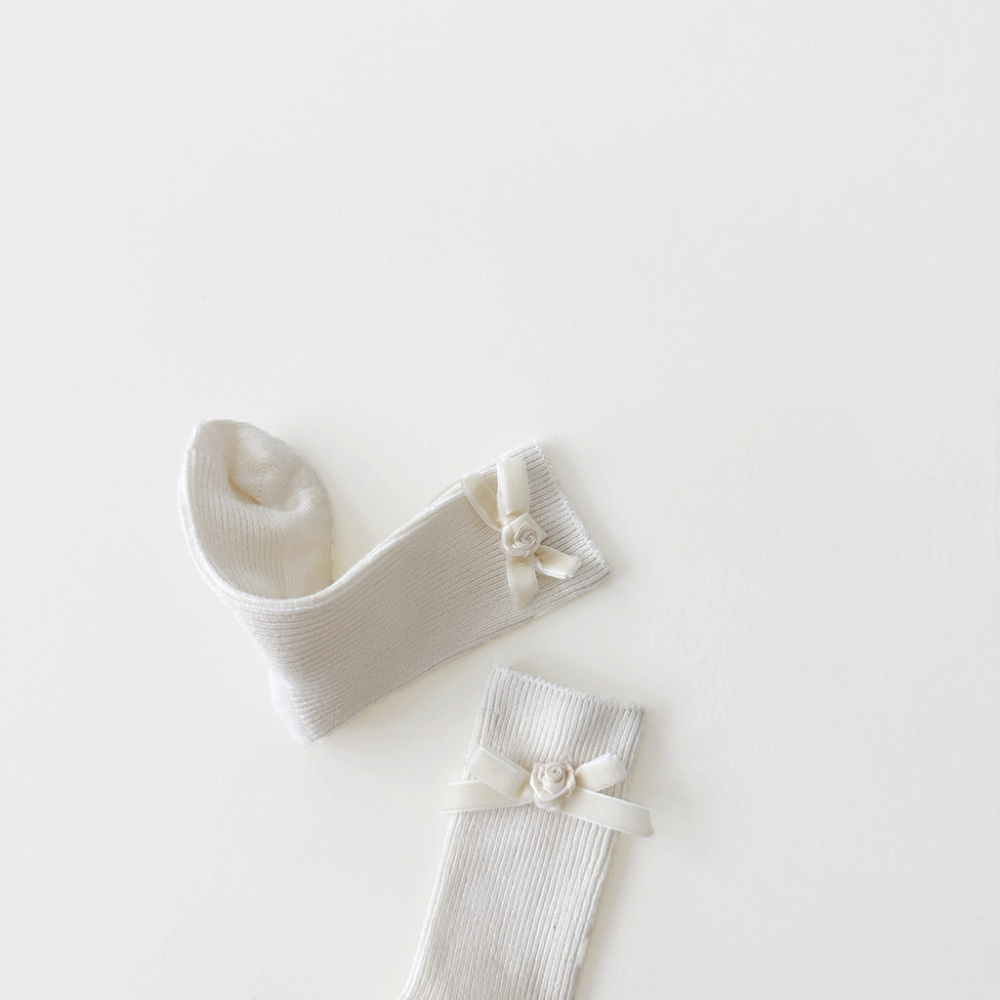 ImageDrain-20251021T063937.012Z