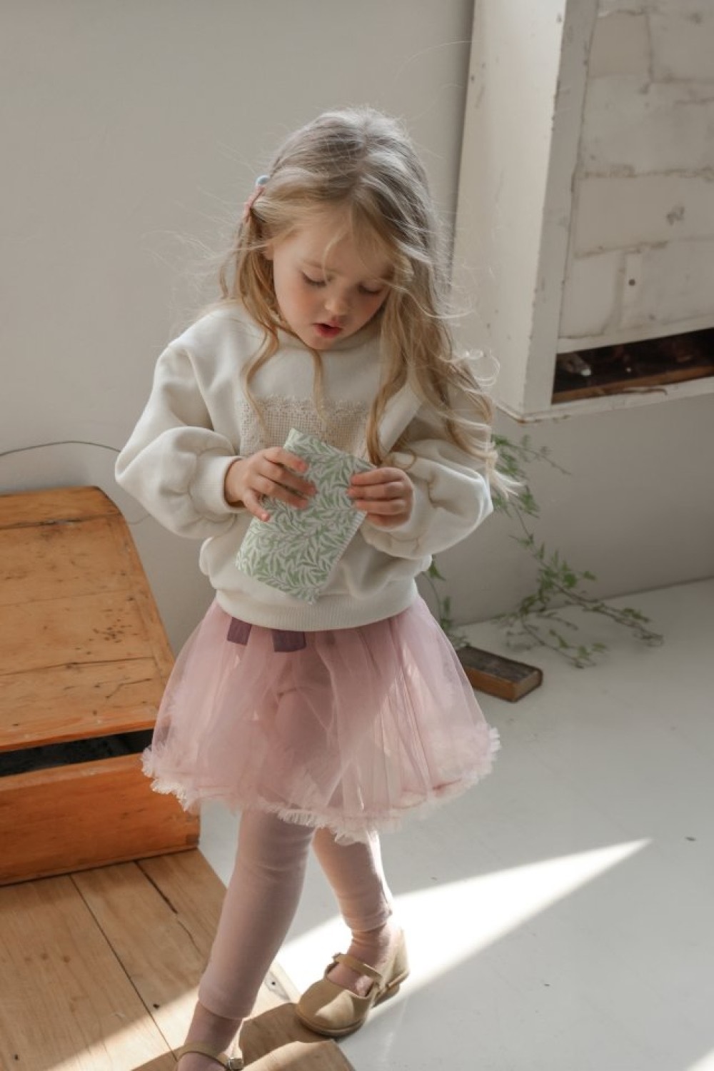 ImageDrain-20251105T055518.447Z