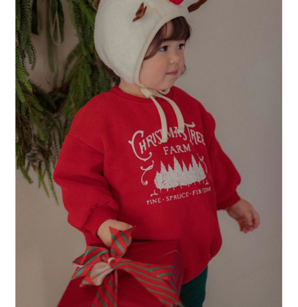 ImageDrain-20251115T130450.541Z