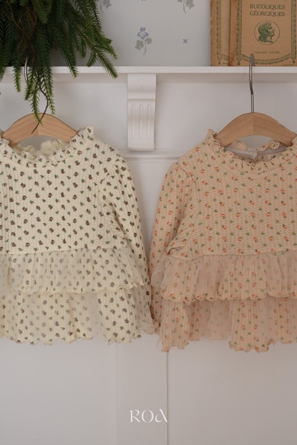 ImageDrain-20251119T072003.830Z