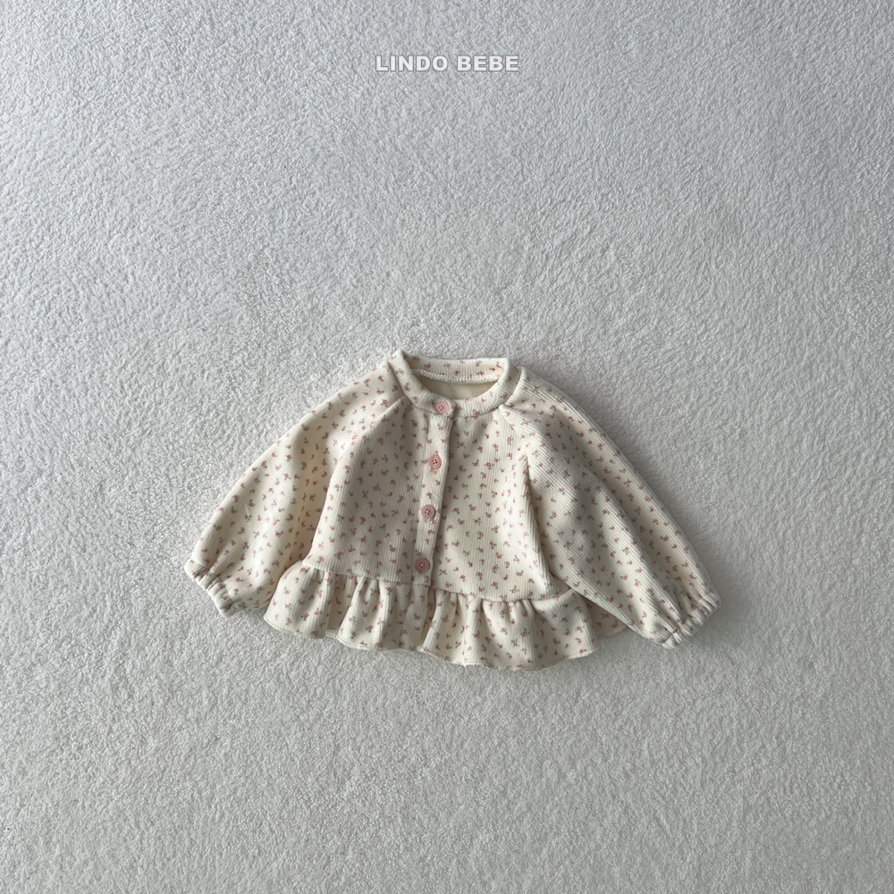 ImageDrain-20251127T034425.128Z