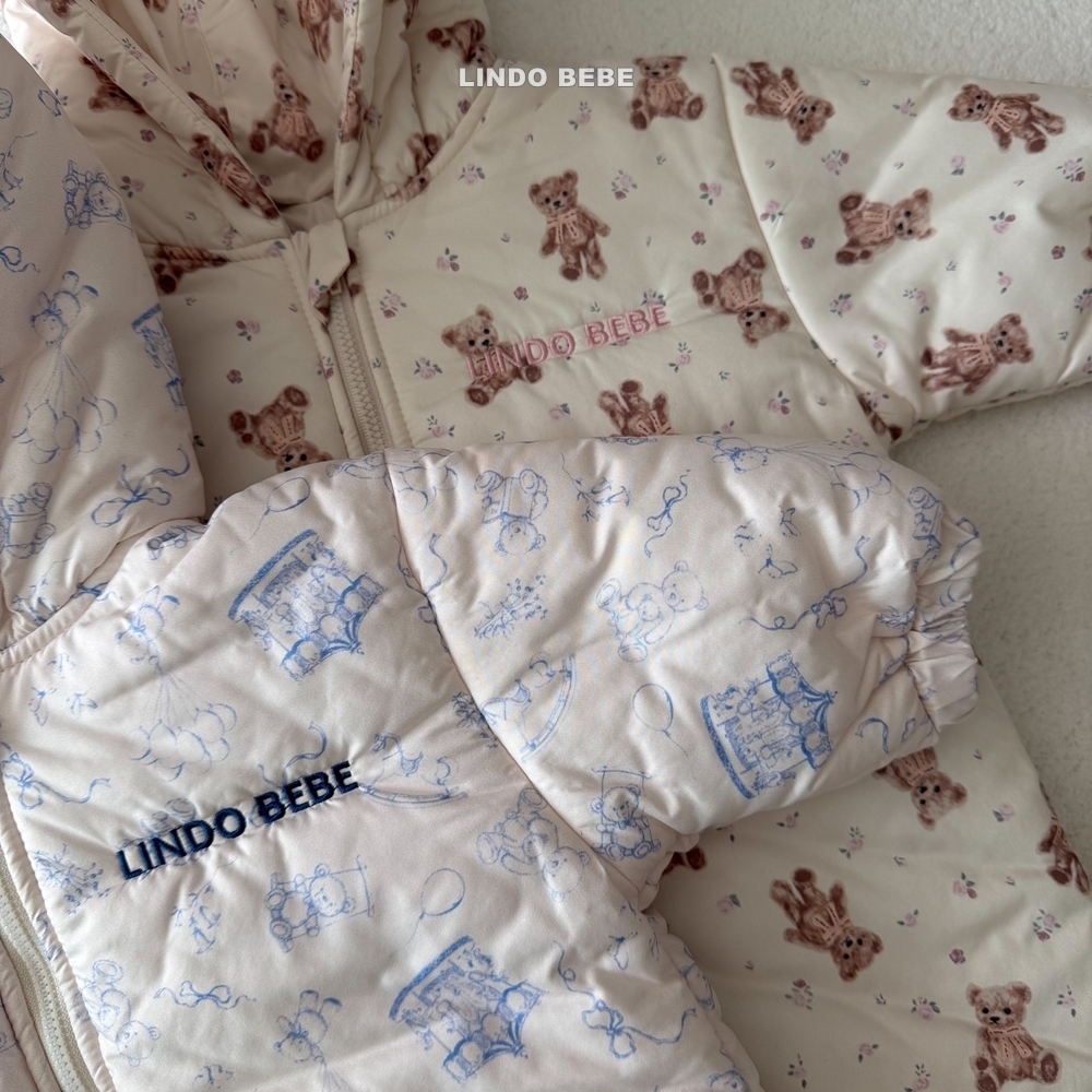 ImageDrain-20251127T043528.694Z