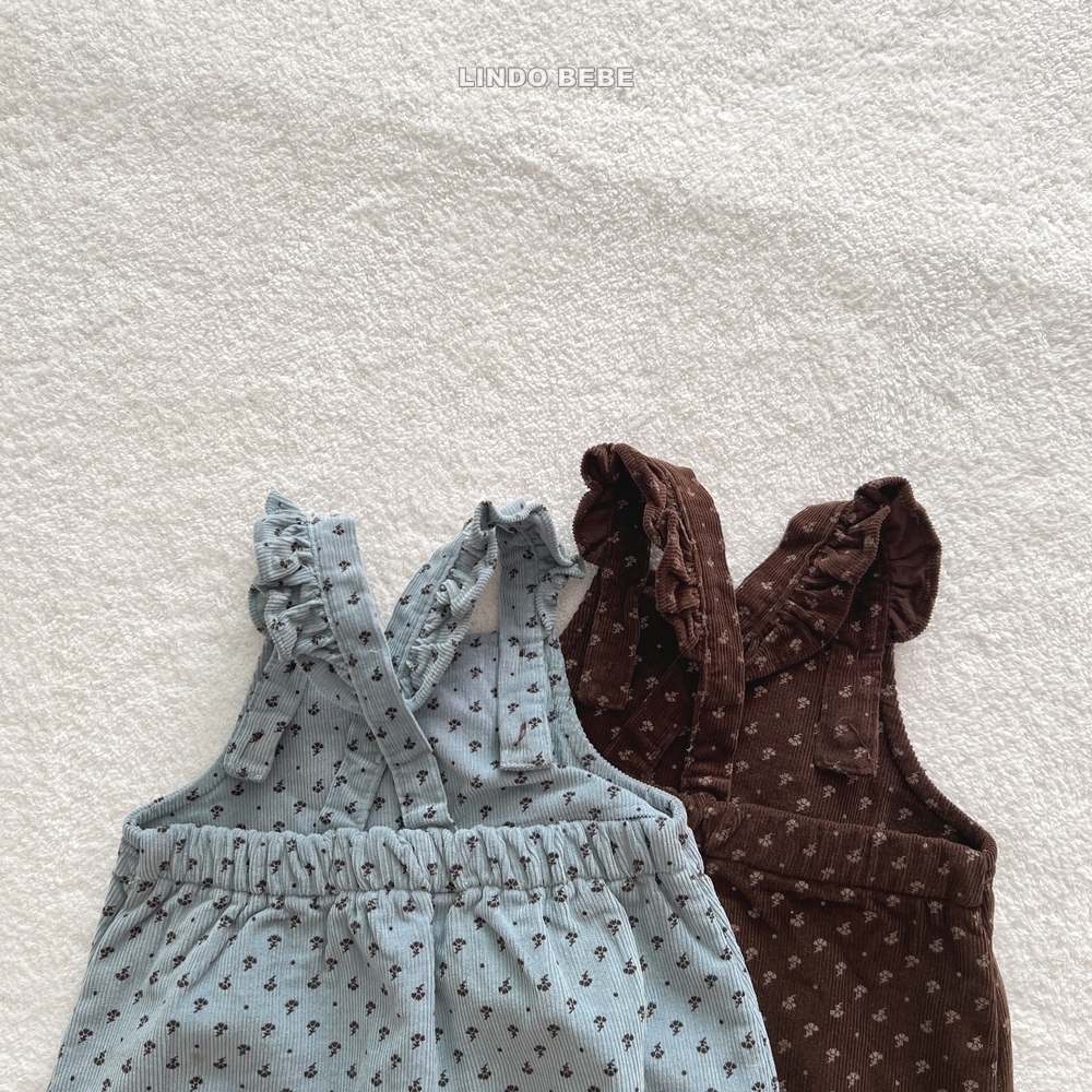 ImageDrain-20251127T043736.728Z