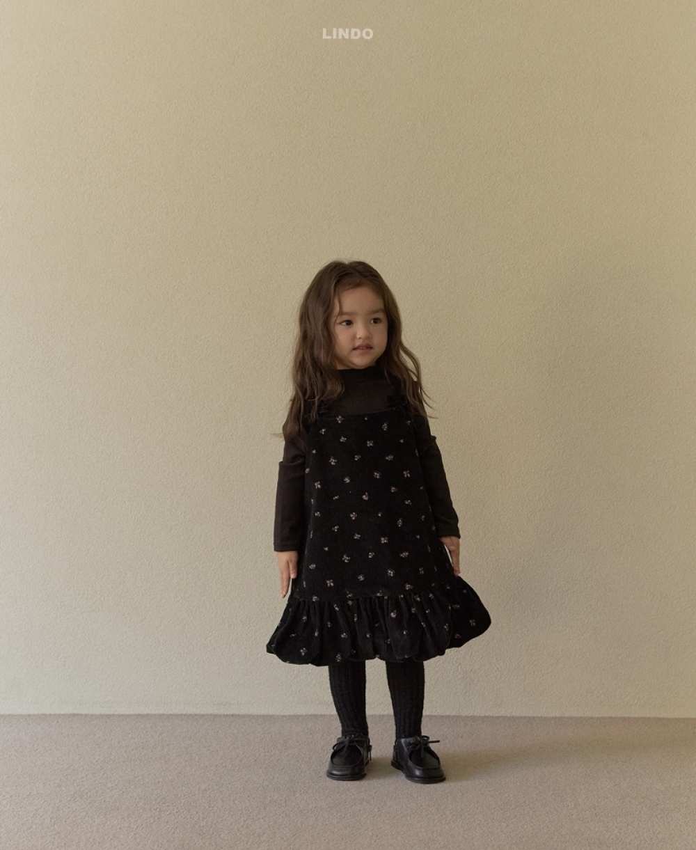 ImageDrain-20251129T022014.261Z