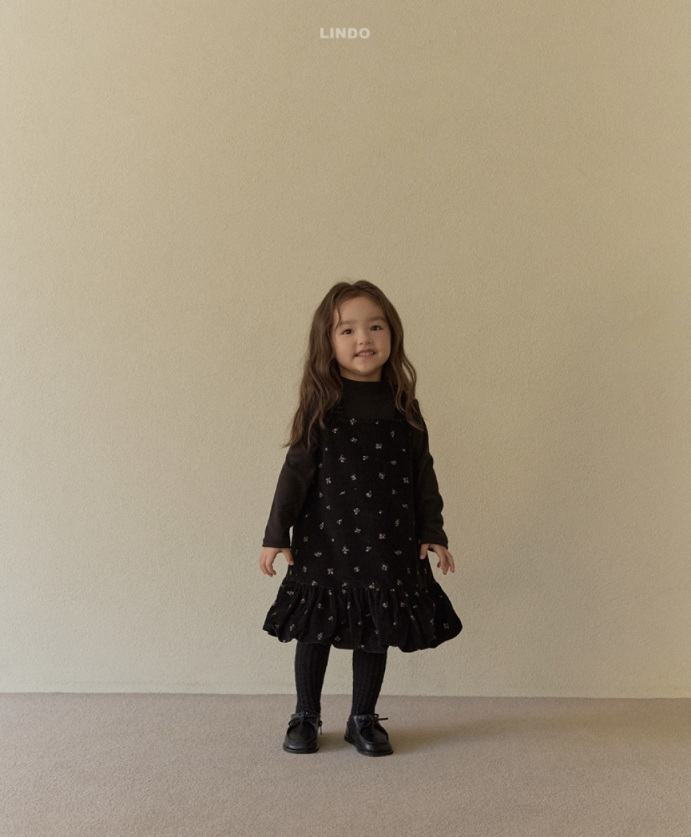 ImageDrain-20251129T022014.357Z