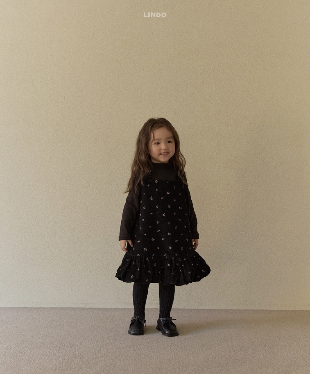 ImageDrain-20251129T022014.416Z