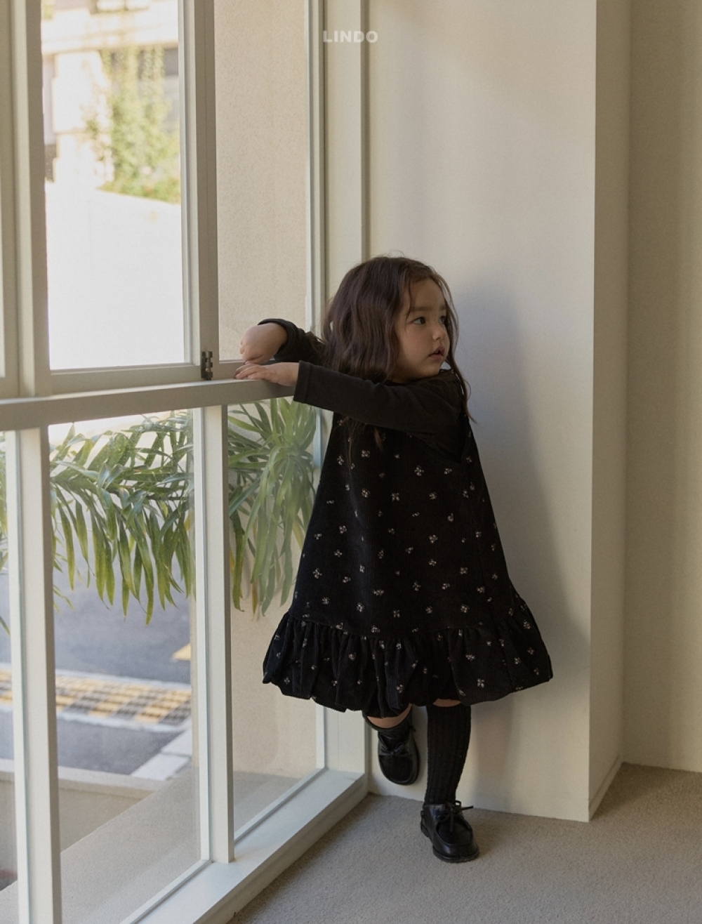 ImageDrain-20251129T022014.515Z